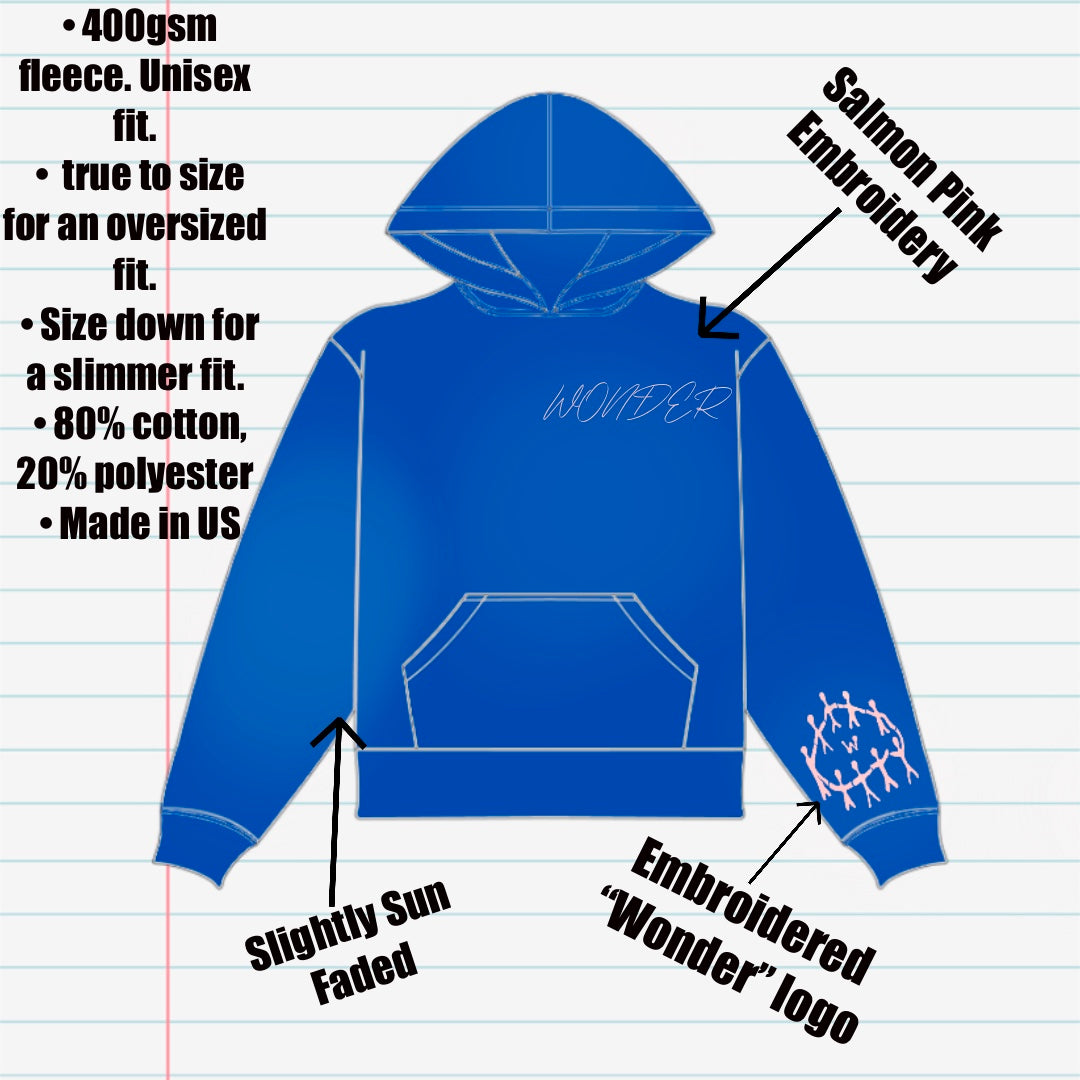 Sun Faded Hoodie